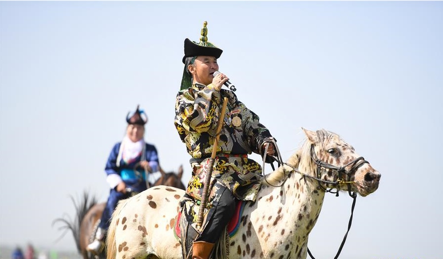 歡聚草原那達慕