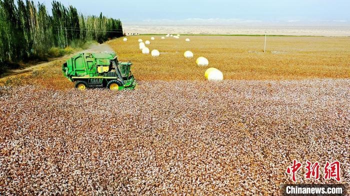 近年來，當(dāng)?shù)孛藁ǚN植戶的生產(chǎn)生活發(fā)生了翻天覆地的變化?！《?攝