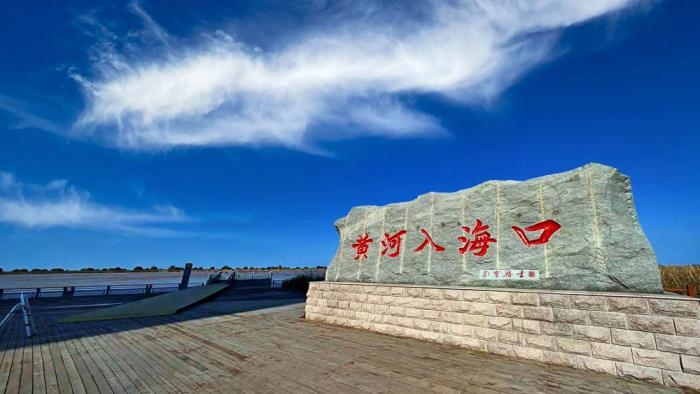 △黃河入?？谖挥谏綎|東營(yíng)市墾利區(qū)。(總臺(tái)央視記者彭漢明拍攝)