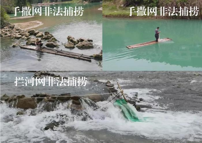 2021年9—10月，前期暗查發(fā)現(xiàn)，保護(hù)區(qū)核心區(qū)內(nèi)非法捕撈行為十分猖獗