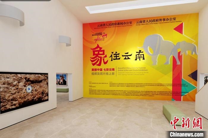 圖為“象”往云南——美麗中國(guó) 七彩云南視頻及圖片線上展截圖。　胡遠(yuǎn)航 攝