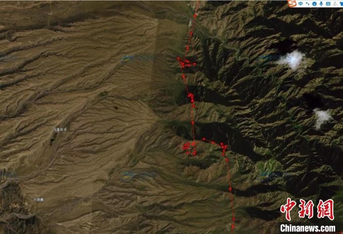 圖為雪豹故地重游來到放歸地的足跡?！?nèi)蒙古賀蘭山國(guó)家級(jí)自然保護(hù)區(qū)供圖