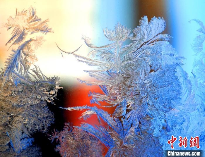 冰窗花千姿百態(tài)。　孫書程 攝