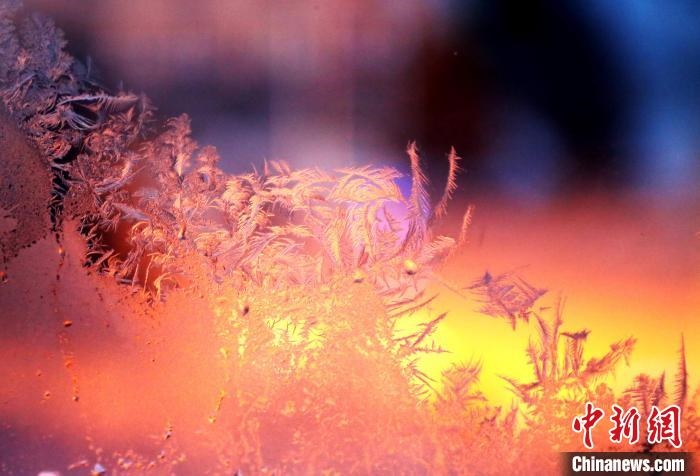 迎著光亮，冰窗花絢麗多姿。　孫書程 攝