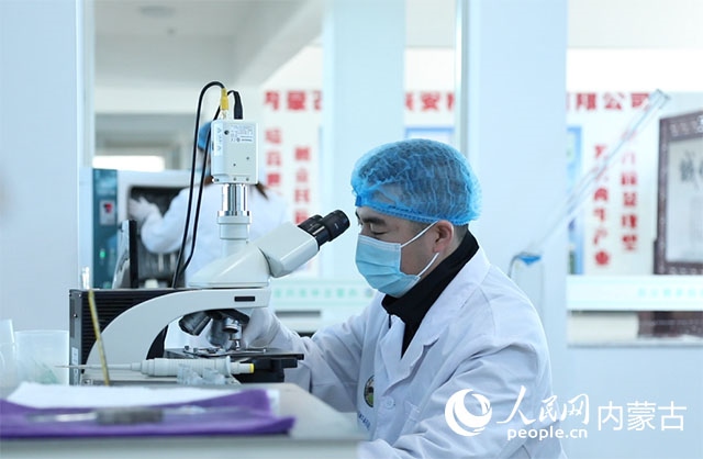 內(nèi)蒙古中農(nóng)興安種?？萍加邢薰韭鋺艨朴抑衅欤瑸槿馀．a(chǎn)業(yè)發(fā)展提供了優(yōu)質(zhì)的種源保障。白俊華攝