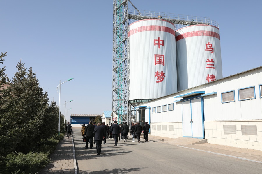 1618759564543816.jpg 7O5A6351.JPG