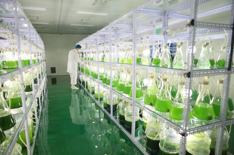 1642935973168168.jpg 7O5A2173.jpg