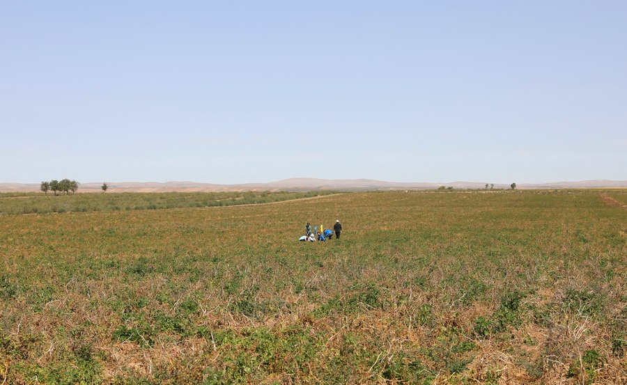 1663645380492455.jpg 7O5A2761.JPG