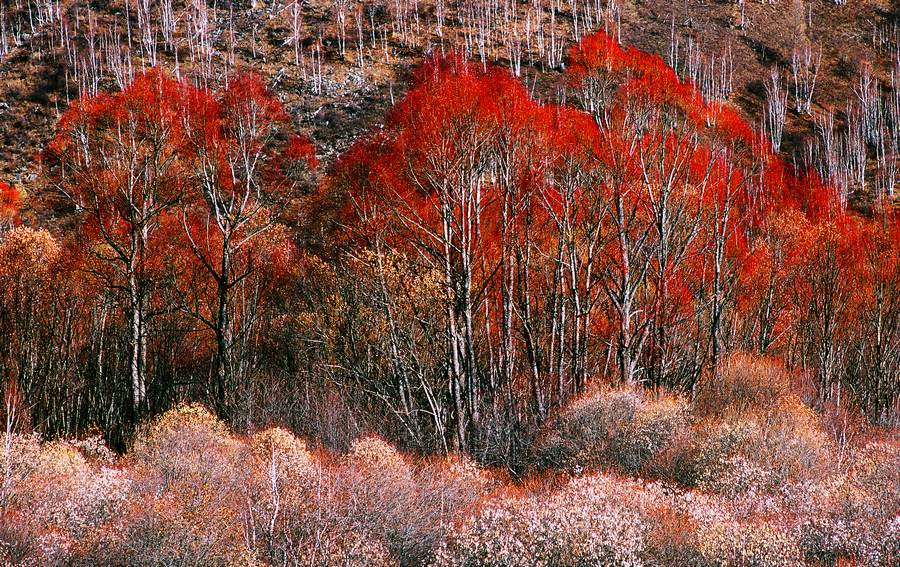 1667391060351612.jpg 07.jpg