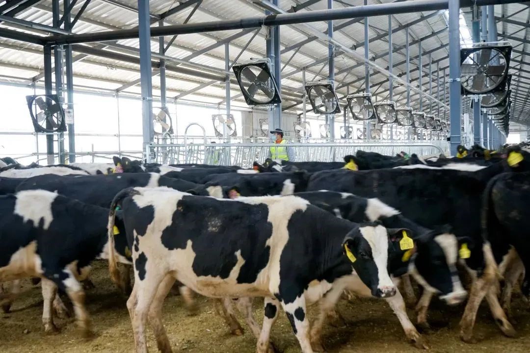 1689315042118767.jpg 640 (1).jpg