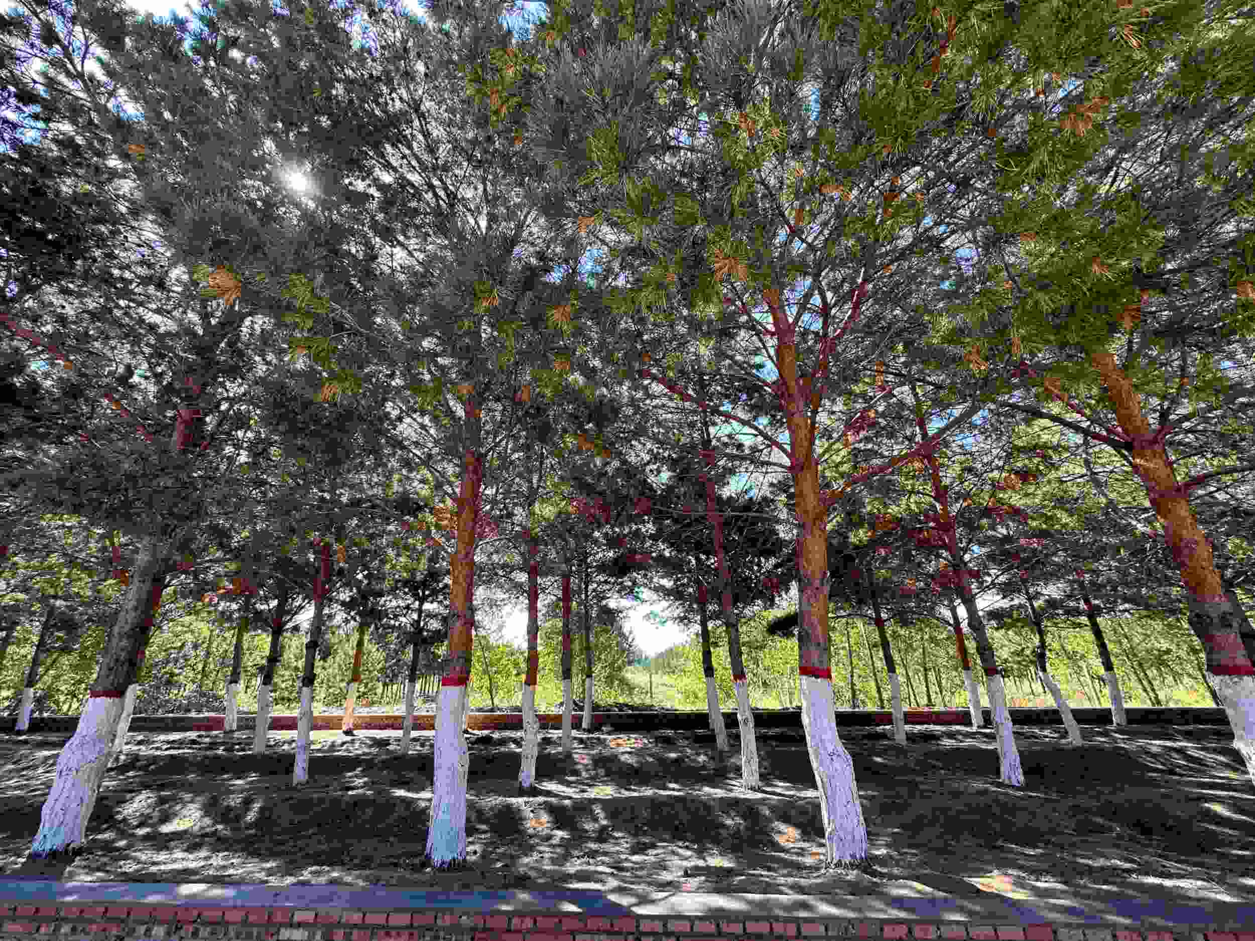 1694442712302900.jpeg 1694442712302900.jpeg