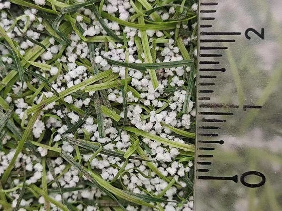 1708413001106443.jpg 微信圖片_20240220150337.jpg