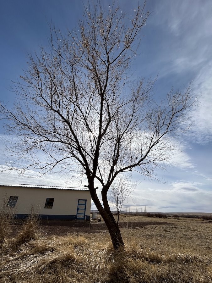 1711815398936027.jpeg WechatIMG1219.jpeg