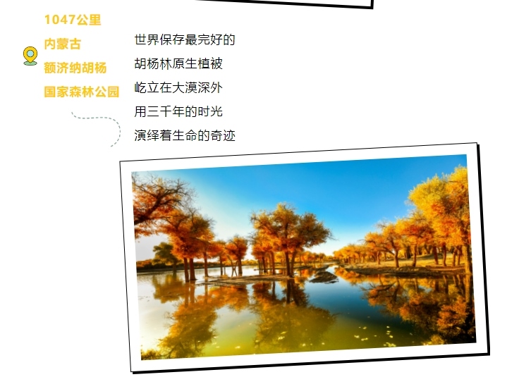 1722412072179786.png 4.png