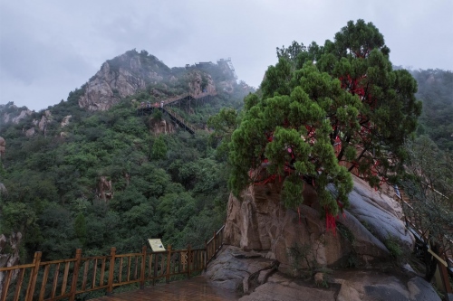 1727151628412287.png 66f1197e4a4cf.png