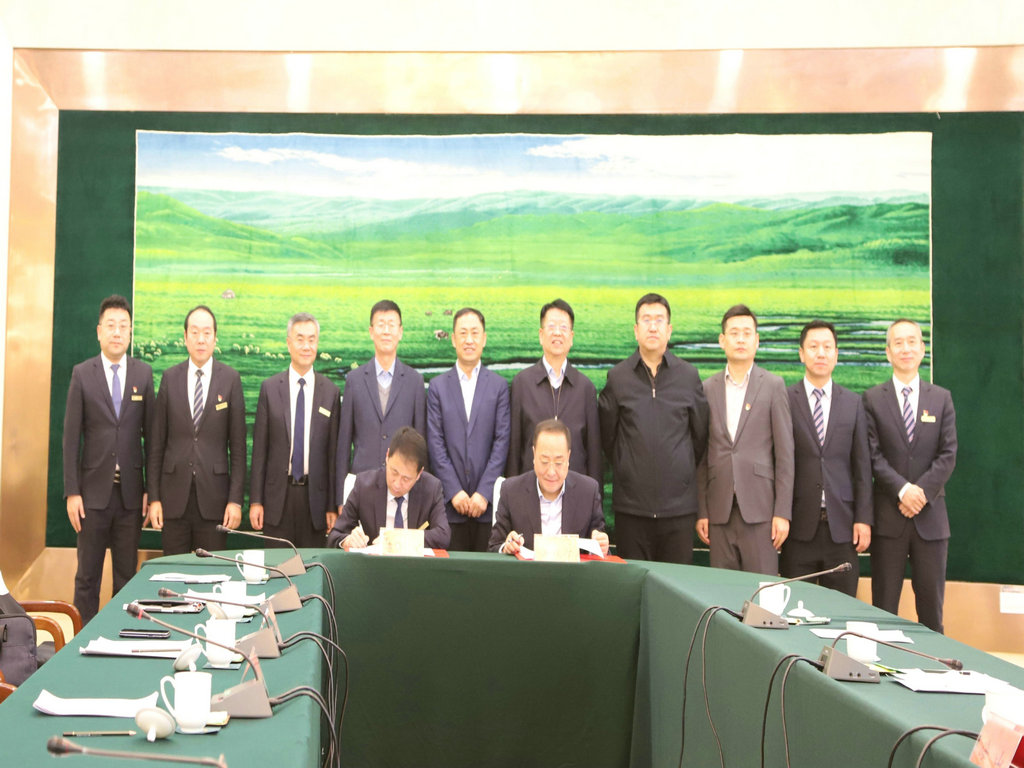 1733757412952035.jpg 2.jpg