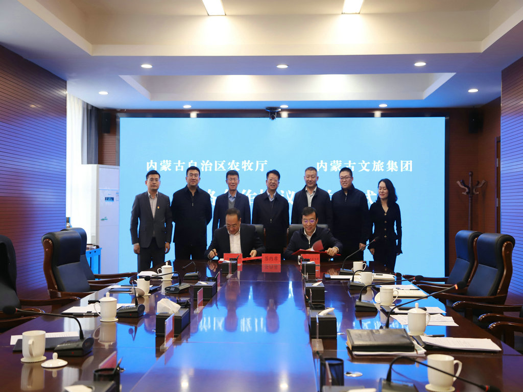 1733757465136036.jpg 3.jpg