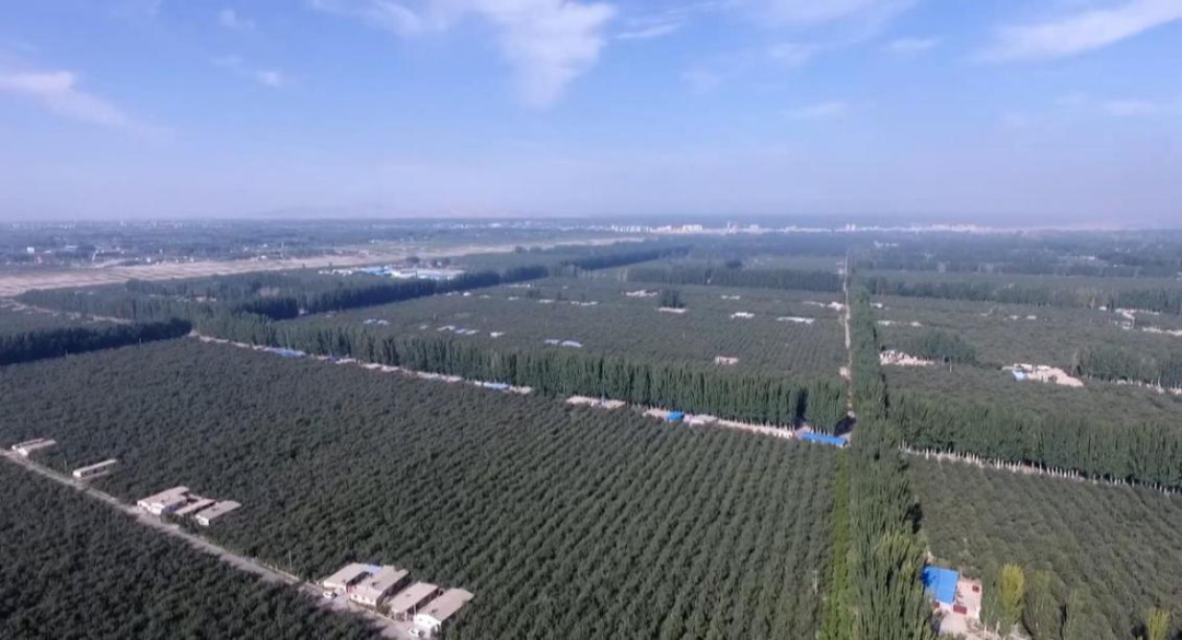 1741083770738167.png 640 (8).png