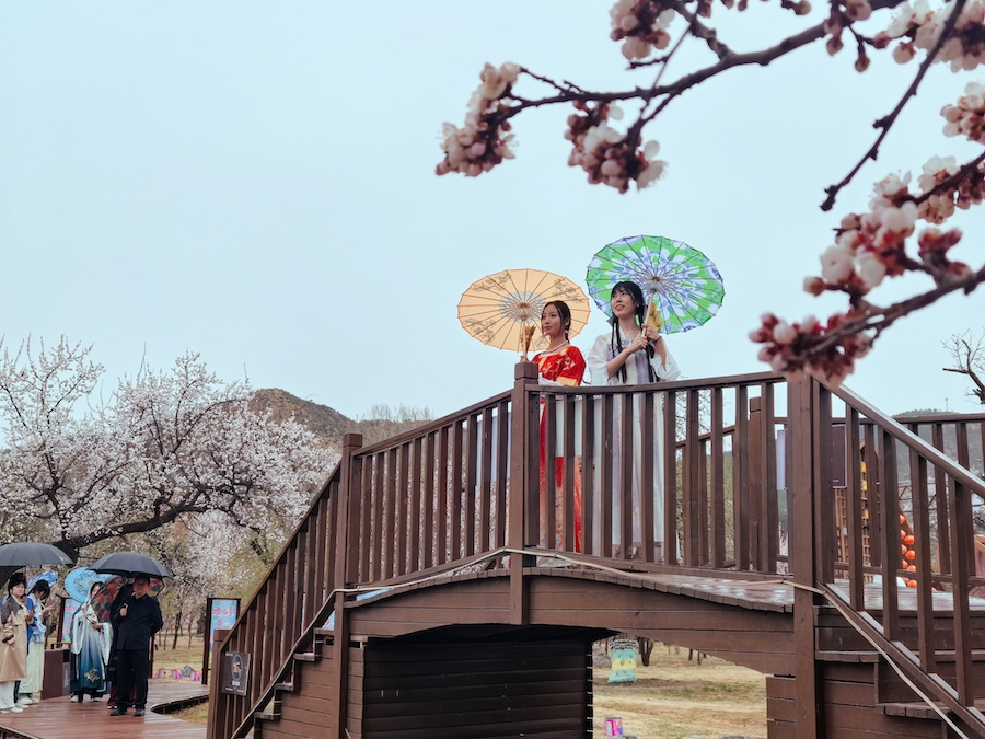 1744972841121556.jpeg WechatIMG9bb4386f852b375631c327b3423e2d69.jpeg