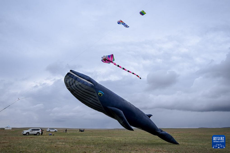 1746337658677105.jpg _DSC3221.jpg