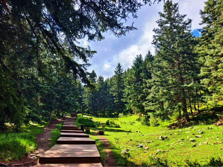 1753588017118991.png 阿拉善4.png