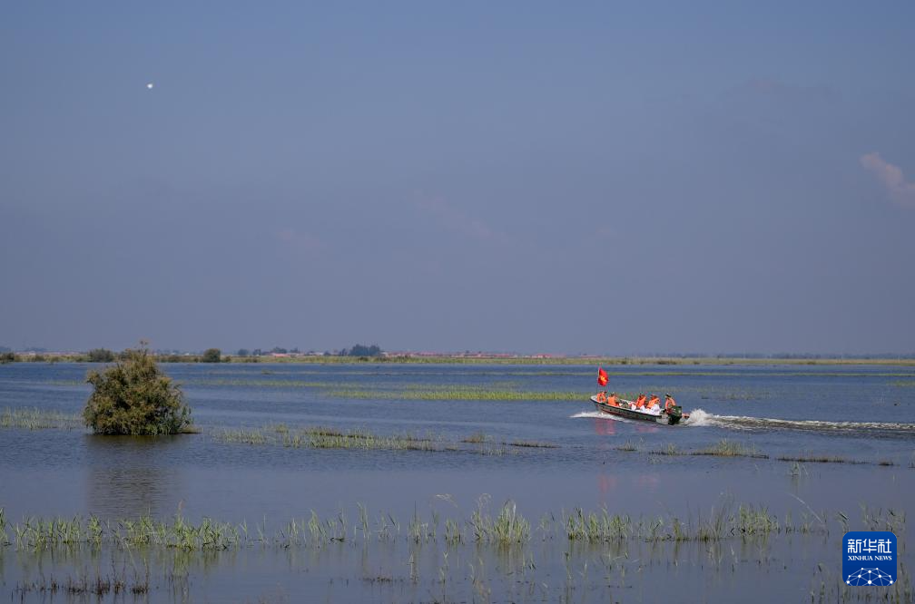 1755273037127490.jpg 001.jpg