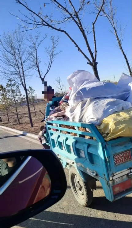 1763105452989429.jpg 葵花4.jpg