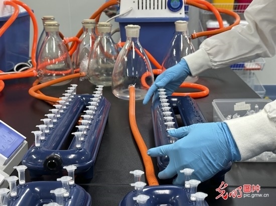 【高質量發(fā)展看中國】基因遞送排頭兵 可實現“個性化”定制