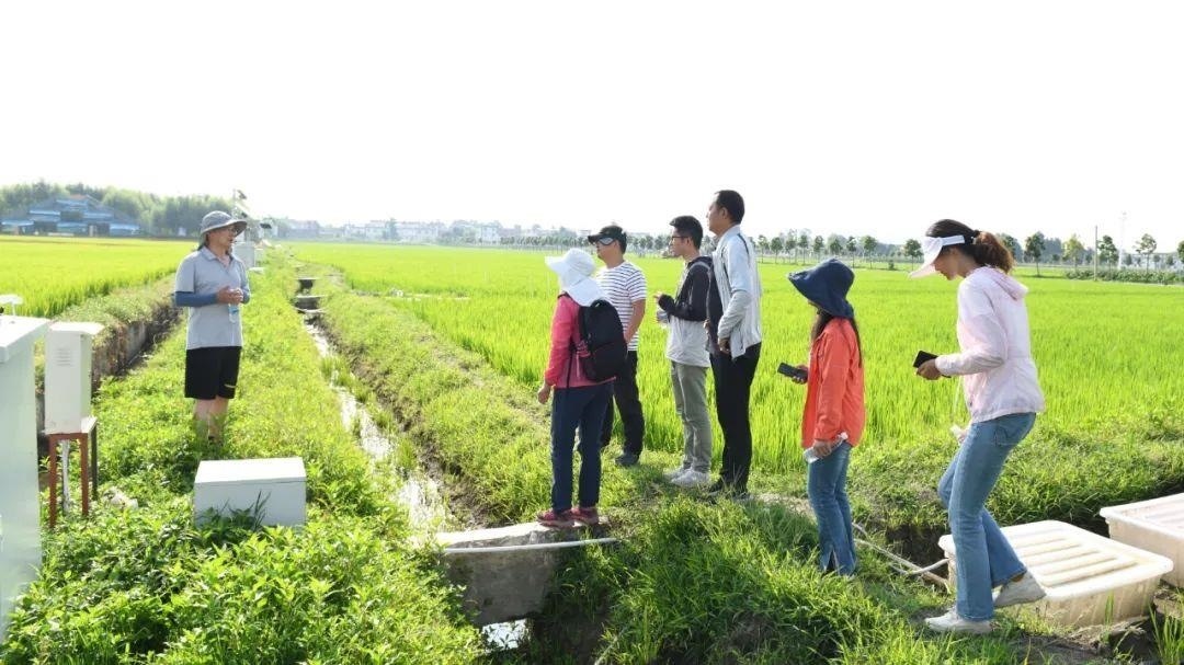 △云南大理古生村科技小院成員在田間調(diào)查。