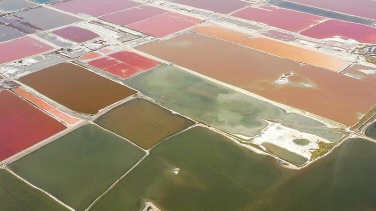 鑒往知來，跟著總書記學(xué)歷史丨走進(jìn)一座博物館，尋根五千年中華文明