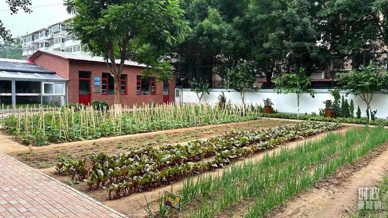 △學(xué)生農(nóng)場(chǎng)。（總臺(tái)央視記者趙化拍攝）