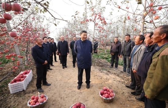 2022年10月26日，習(xí)近平總書記在陜西省延安市安塞區(qū)高橋鎮(zhèn)南溝村蘋果園同老鄉(xiāng)們親切交流。