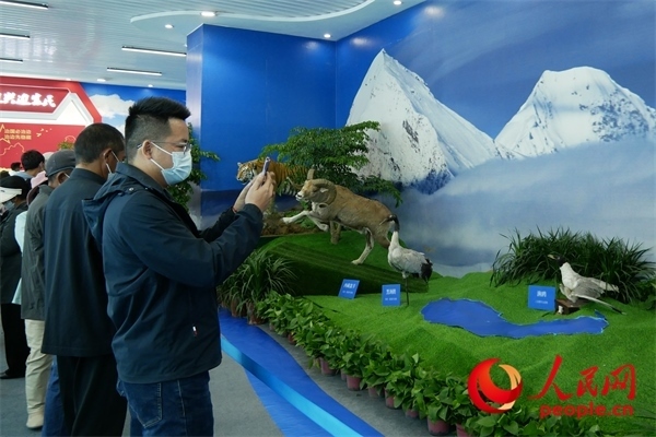 6月17日，觀眾正在觀展。人民網(wǎng) 韋衍行攝