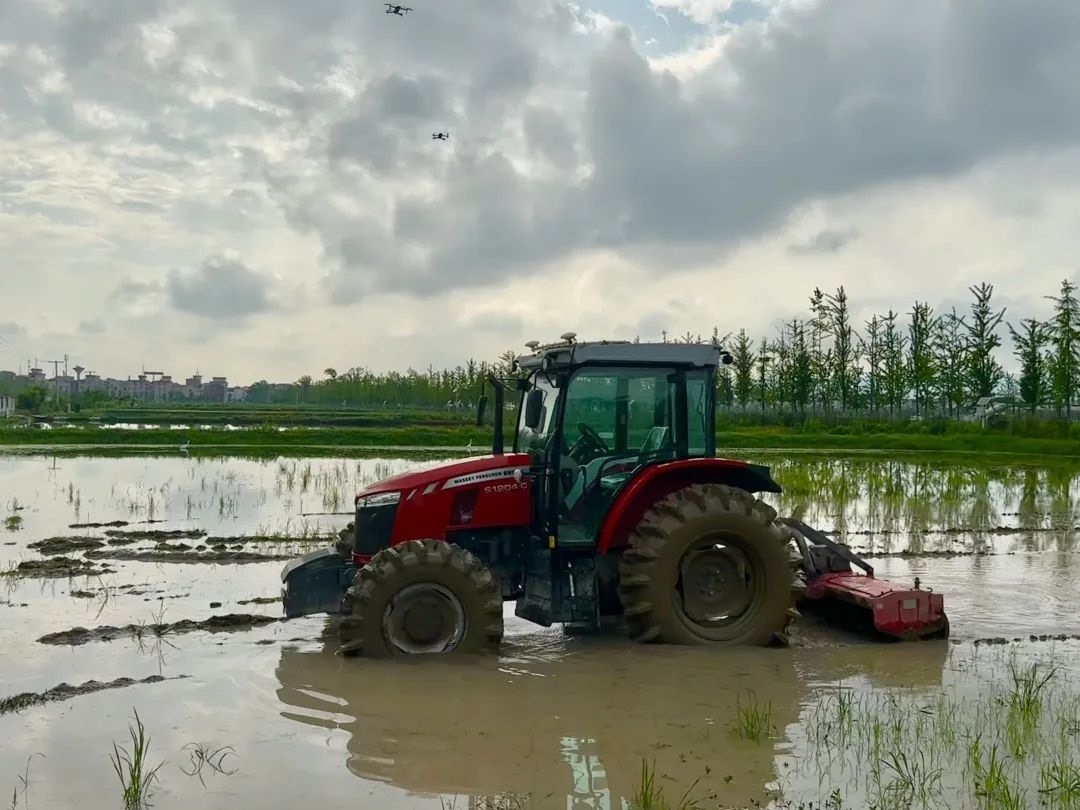 浙江省金華市東陽市城東街道寀盧村的一臺無人駕駛耕地機(jī)。靜玄 攝