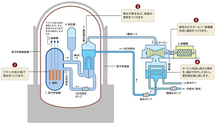 核電站運作原理圖。通常的核電站排水未直接接觸核燃料。（圖片來源：日本北海道電力株式會社網(wǎng)站）