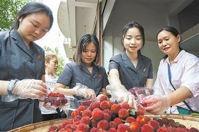 志愿者和村民一起將摘下的楊梅裝進(jìn)食品盒里。