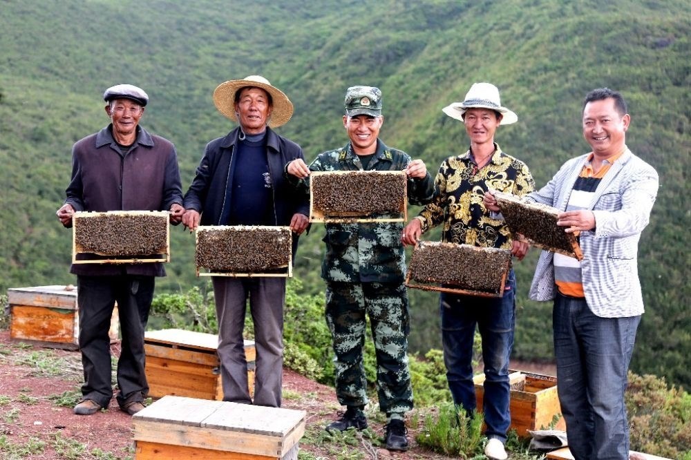 ↑武警四川總隊涼山支隊精準幫扶昭覺縣梭梭拉打村發(fā)展養(yǎng)蜂產業(yè)，總隊駐村扶貧干部布哈（中）和村民一同展示豐收成果（2019年6月12日攝）。新華社發(fā)（楊劍 攝）