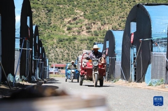 7月29日，農(nóng)戶在卓尼縣納浪鎮(zhèn)納浪村黑木耳種植基地勞作。