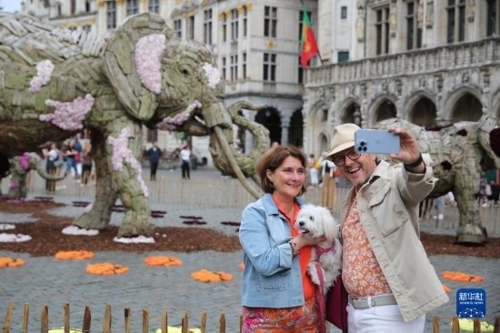 8月11日，觀眾在比利時布魯塞爾“鮮花時光”展覽上拍照。新華社記者 趙丁喆攝