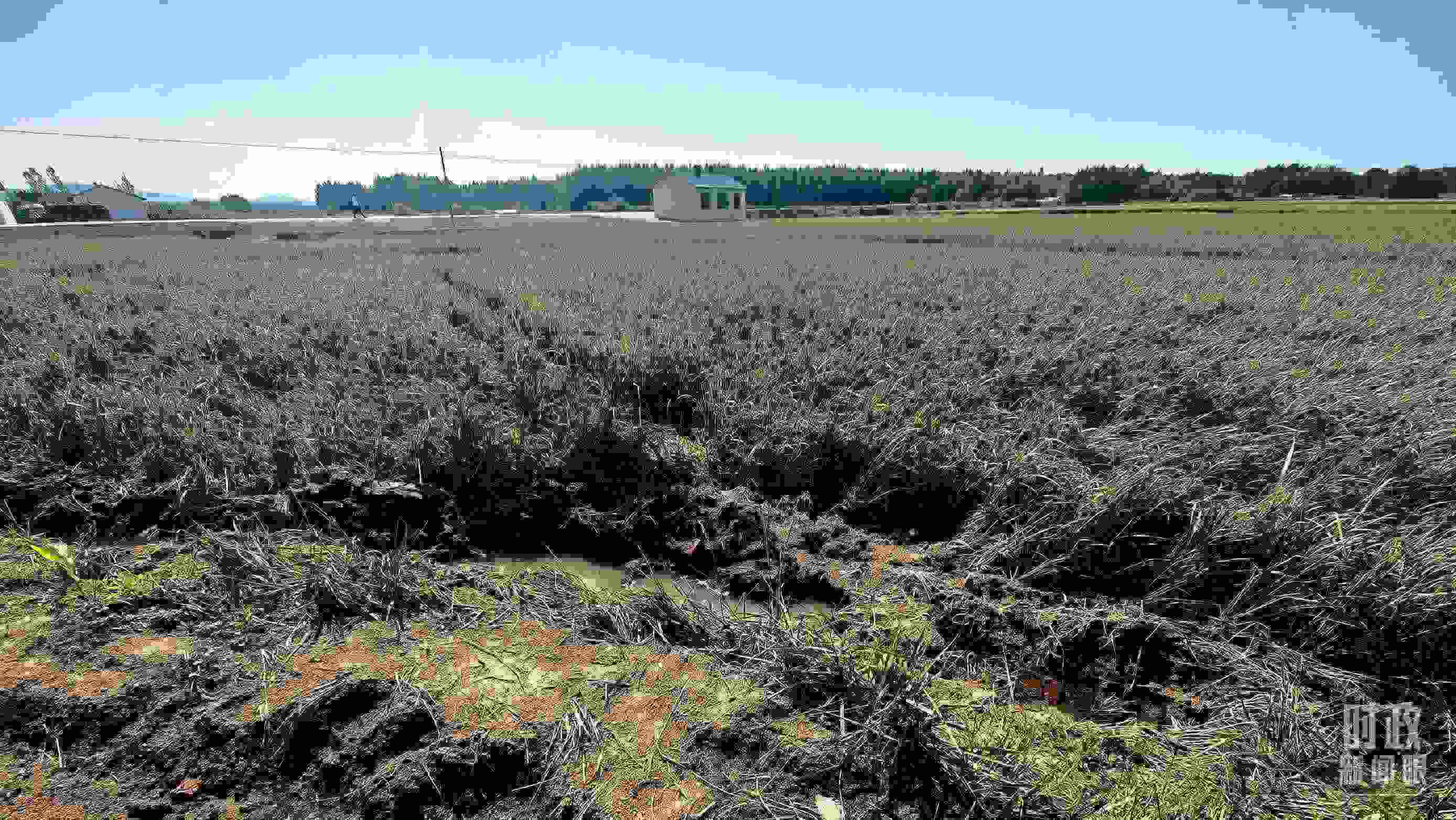 △圖為龍王廟村在洪災(zāi)中受損的農(nóng)田。（總臺(tái)央視記者史偉拍攝）