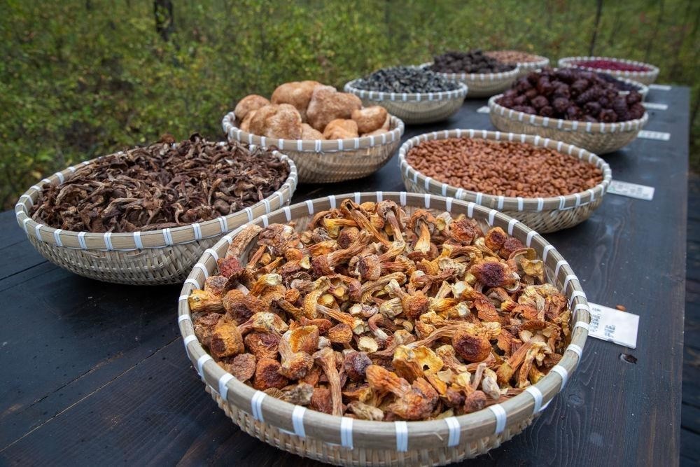 △近日，漠河市北極村一景區(qū)展示的林下產(chǎn)品。