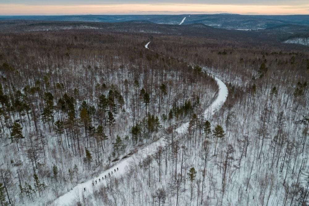 △2023年1月，漠河林場數(shù)十名職工自發(fā)組成的森林撫育隊伍，在人跡罕至的山林中作業(yè)。
