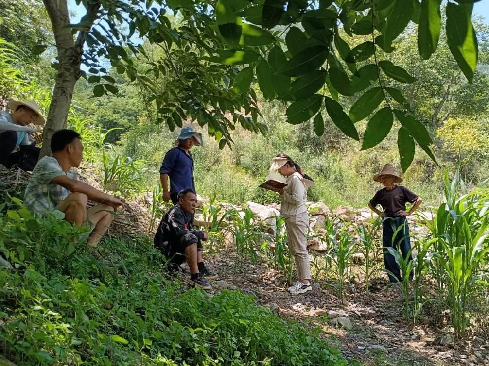 2023年7月18日，兩家村民發(fā)生土地方面的糾紛，李江女（右二）在記錄情況。受訪者供圖