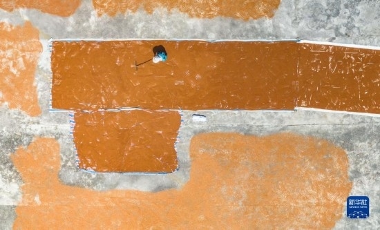 9月16日，農(nóng)民在貴州省安順市西秀區(qū)大西橋鎮(zhèn)吉昌村晾曬高粱（無人機(jī)照片）。