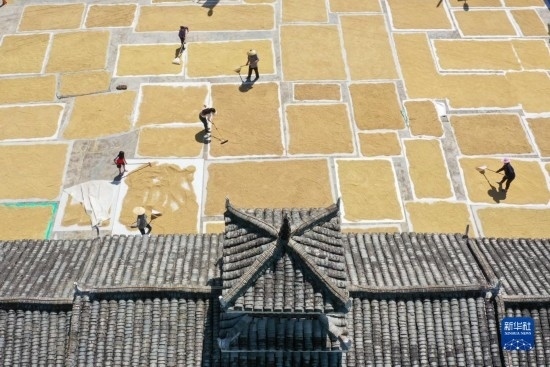 9月16日，村民在貴州省黔東南苗族侗族自治州從江縣剛邊壯族鄉(xiāng)三聯(lián)村晾曬稻谷（無人機(jī)照片）。