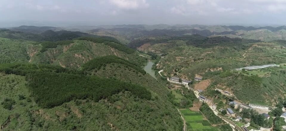 黃土溝壑中的高西溝村滿眼綠色（無(wú)人機(jī)照片，2023年7月26日）。新華社記者陳昌奇 攝