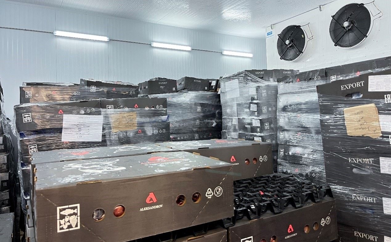 恒溫冷庫(kù)中，包裝好的牛肉等待發(fā)往中國(guó)。人民網(wǎng)記者 朱虹攝