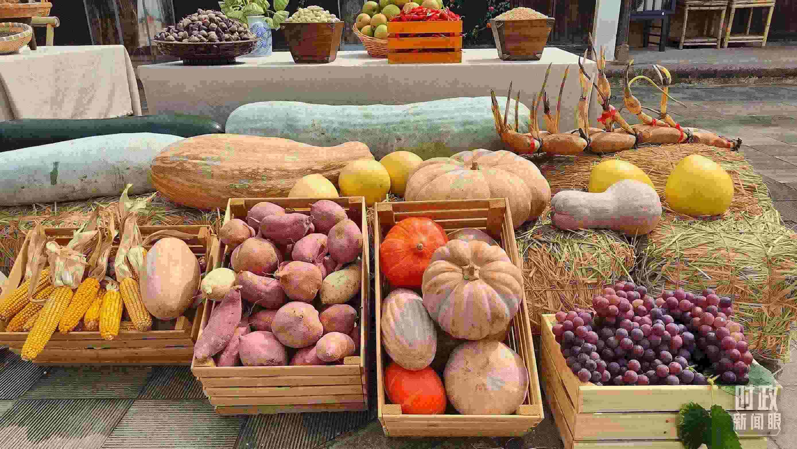 △村廣場“共富市集”，擺放著種類豐富的特色農(nóng)產(chǎn)品。（總臺央視記者楊立峰拍攝）