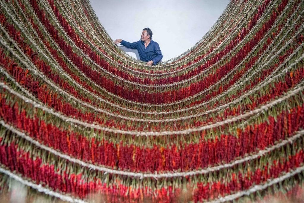 在貴州省畢節(jié)市大方縣理化鄉(xiāng)金雞村，村民查看辣椒烘干情況。新華社發(fā) 羅大富攝