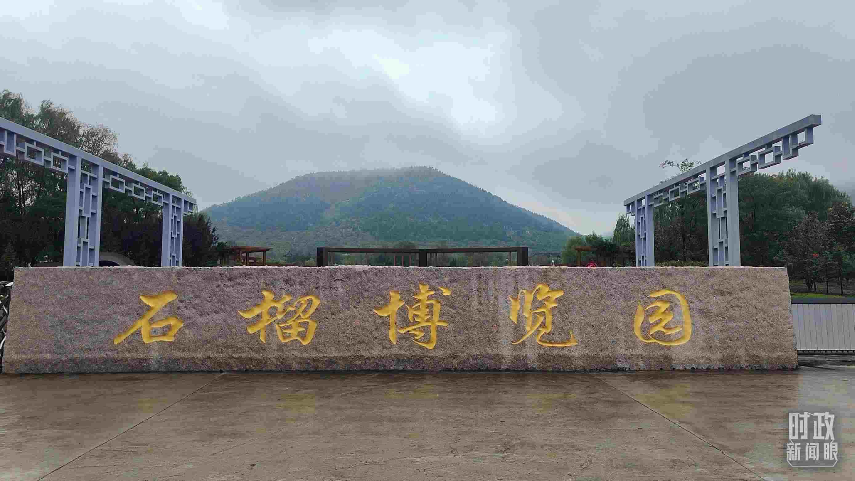 △石榴種質(zhì)資源庫(kù)位于石榴博覽園內(nèi)。（總臺(tái)央視記者楊立峰拍攝）